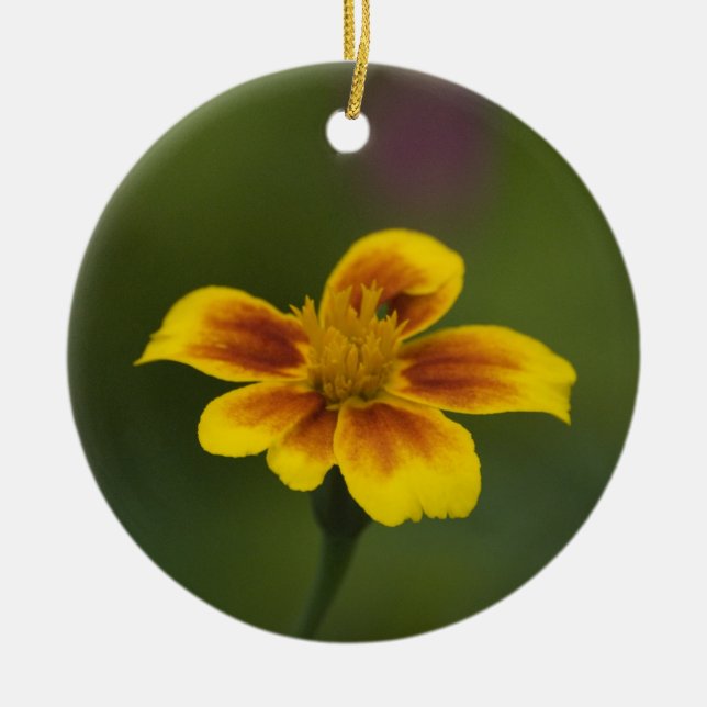 To bee or not to be ceramic tree decoration (Front)