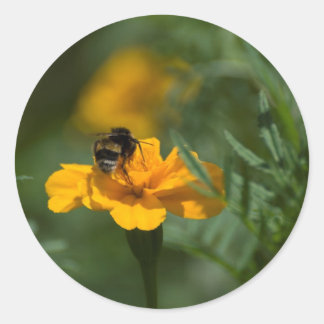 To bee or not to be classic round sticker