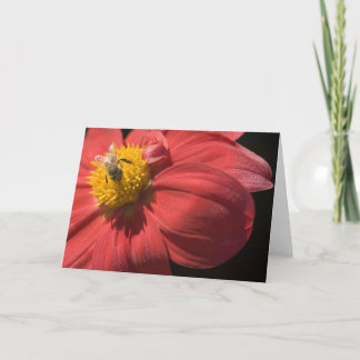 To bee or not to bee greeting card