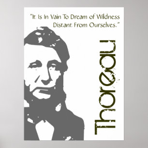 To Dream Of Wildness Thoreau Poster