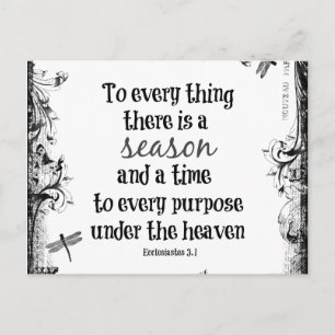 To everything there is a season Bible Verse Postcard