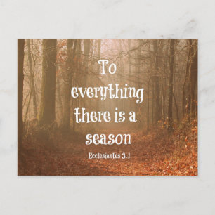 To everything there is a season Bible Verse Postcard