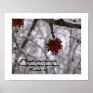 To Everything there is a  Season Poster