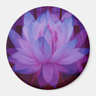 To Follow your Dreams... Magnet