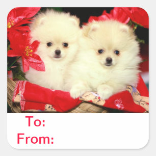 To & From Gift Tag Pomeranian Stickers