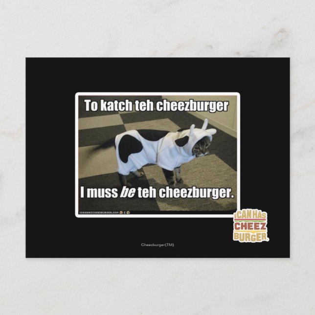To katch teh cheezburger postcard (Front)