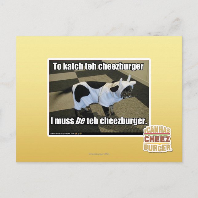 To katch teh cheezburger postcard (Front)