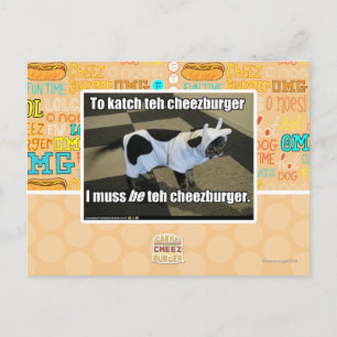 To katch teh cheezburger postcard