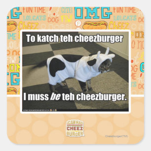 To katch teh cheezburger square sticker