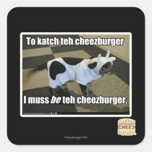 To katch teh cheezburger square sticker