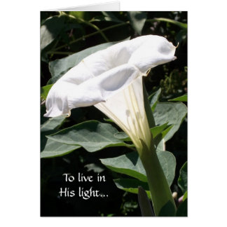 To live in His light