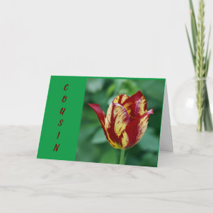 **TO MY BEAUTIFUL COUSIN** A ROSE CARD