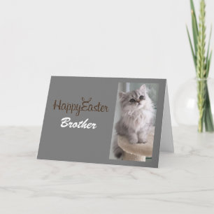 TO **MY BROTHER** WITH A SPECIAL KITTEN FOR YOU HOLIDAY CARD