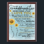 To My Granddaughter Gift, Grandkids Birthday Gift Award Plaque<br><div class="desc">To My Granddaughter Gift,  Grandkids Birthday Gift</div>