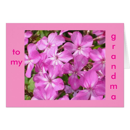 To My Grandma Birthday Pink Flowers Card