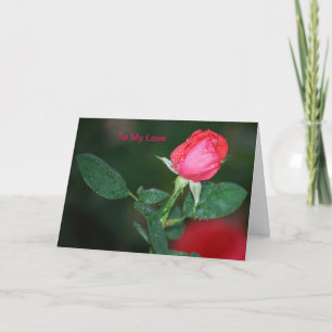 To my love holiday card