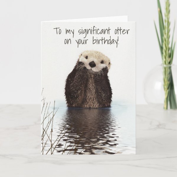 Otter Cards | Zazzle UK