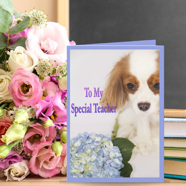 To My Special Teacher Thank You Doggie Card (Creator Uploaded)