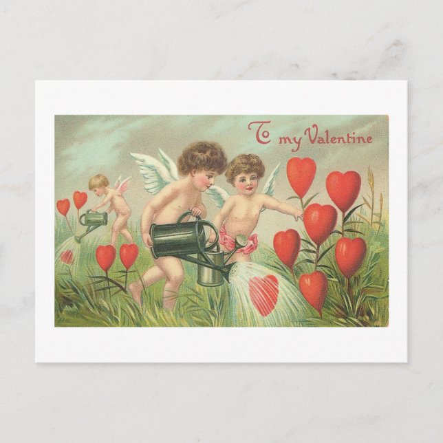 To My Valentine Cherubs with Hearts Holiday Postcard (Front)