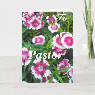 To Pastor, Woman Card