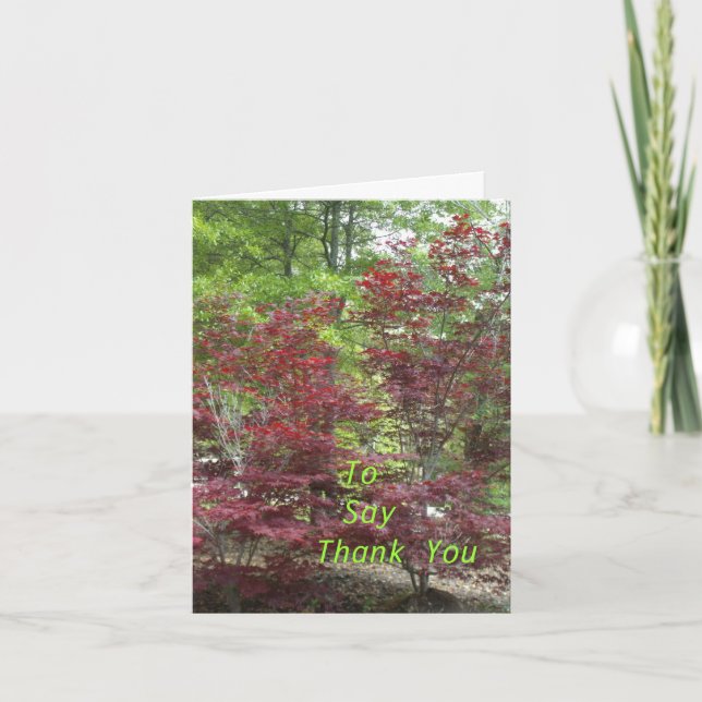 To Say Thank You (Front)