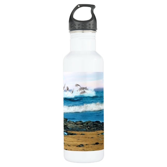 To See the Dolphins 710 Ml Water Bottle (Front)