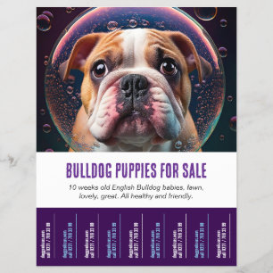 To sell Bulldog puppies Flyer