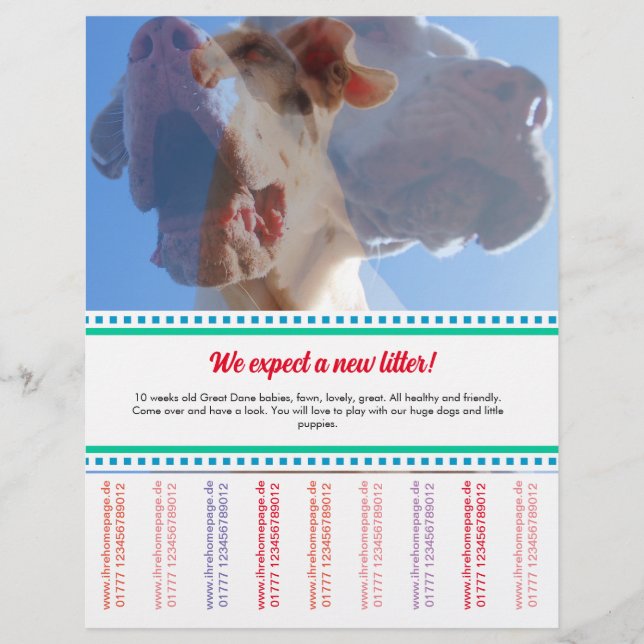 To sell Dane Puppies Flyer (Front)