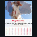 To sell Dane Puppies Flyer<br><div class="desc">And still no flyer? Or no idea, where there are one? Here for example, in different formats comes he can be adapted immediately then to you. Back can be arranged with a photo or the Doggenmuster shown, then the flyer is not Schandfleck if it on glass area is attached, where...</div>