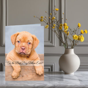 To the Best Dog Mum Ever Custom Photo & Text Holiday Card