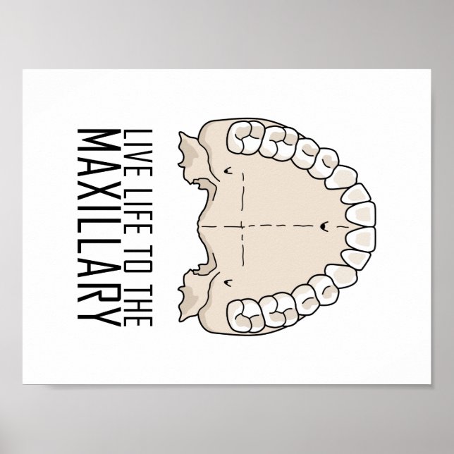 "To the Maxillary" Poster (Front)