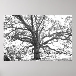 To the mind that is still. poster