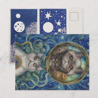 To the Moon with Persian Cats