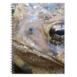 Toad face notebook