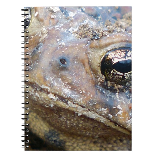 Toad face notebook (Front)
