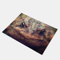 Toad Face Up Close 