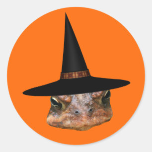 Toad Face Witch Hat Halloween Funny  Classic Round Sticker