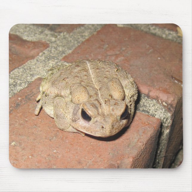 Toad Frog Mouse Mat (Front)