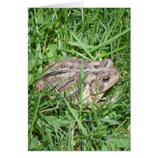 Toad in the Grass