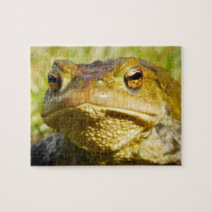 Toad Jigsaw Puzzle