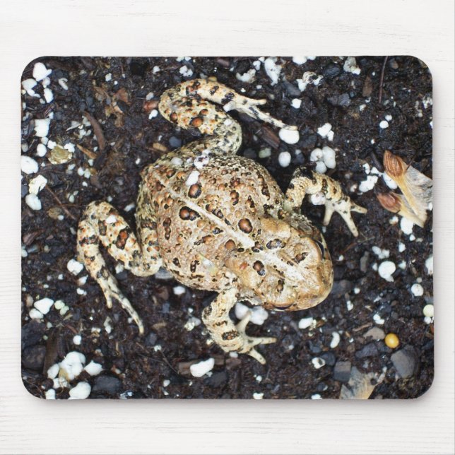 Toad Mouse Mat (Front)