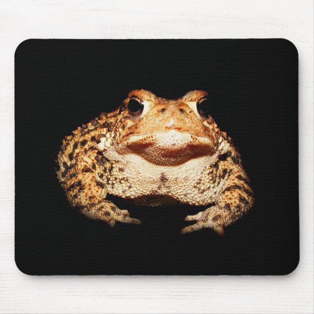 toad mouse mat (Front)
