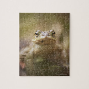 Toad of the Day Jigsaw Puzzle