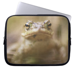 Toad of the Day Laptop Sleeve