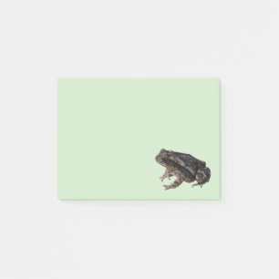 Toad Post-it Notes