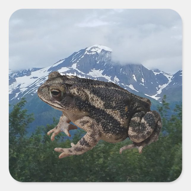 Toad Square Sticker (Front)