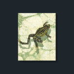 Toad Swinning in the Water Canvas Print<br><div class="desc">Vision Studio is using the giclée (French for “to spray”) technique in this art piece. It makes it unique and the different shades of green emphasise the peacefulness on this image. Choose this piece of artwork for your next Zazzle product.</div>