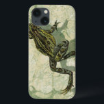 Toad Swinning in the Water iPhone 13 Case<br><div class="desc">Vision Studio is using the giclée (French for “to spray”) technique in this art piece. It makes it unique and the different shades of green emphasise the peacefulness on this image. Choose this piece of artwork for your next Zazzle product.</div>