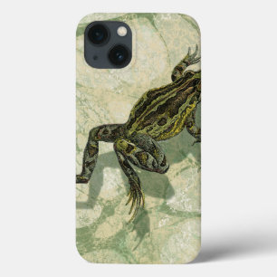 Toad Swinning in the Water iPhone 13 Case