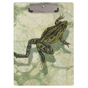 Toad Swinning in the Water Clipboard